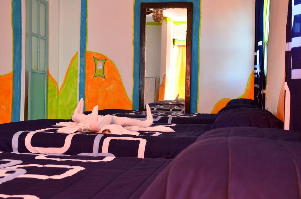 Adventure Experience Hotel Playa del Carmen Extérieur photo