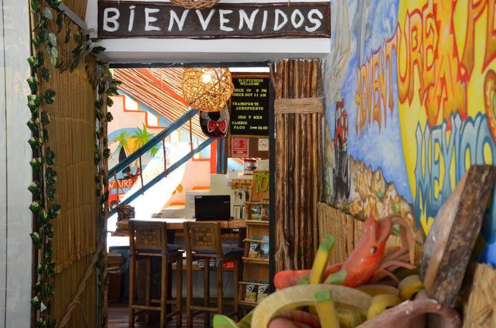 Adventure Experience Hotel Playa del Carmen Extérieur photo